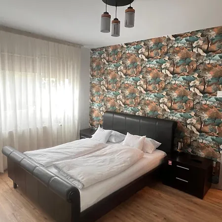 Apartment Xili's Relax And Chill Apartment, Netflix, Peaceful Location In Brasov